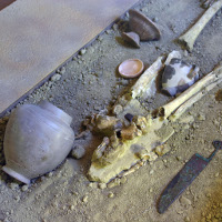 Museo Civico Archeologico e Paleoambientale 'Elsa Silvestri'