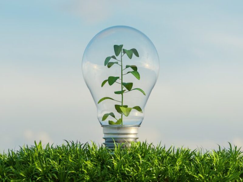Lo Sportello Green propone un ciclo di incontri sulle Comunità Energetiche per le PMI