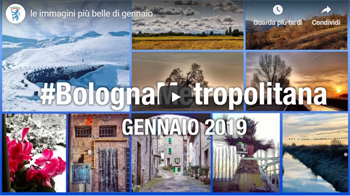 #BolognaMetropolitana - Le più belle immagini di gennaio 2019