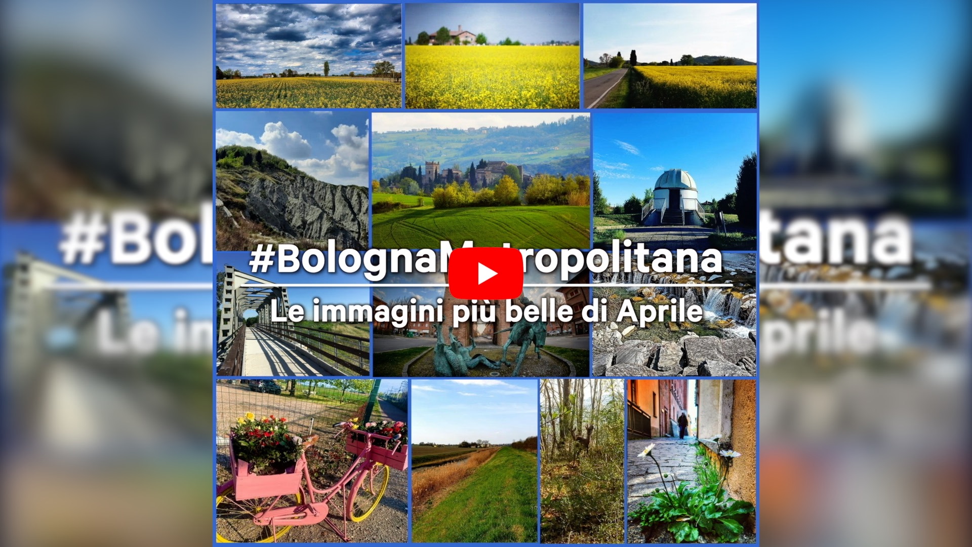 #BolognaMetropolitana - Le immagini più belle di aprile 2021