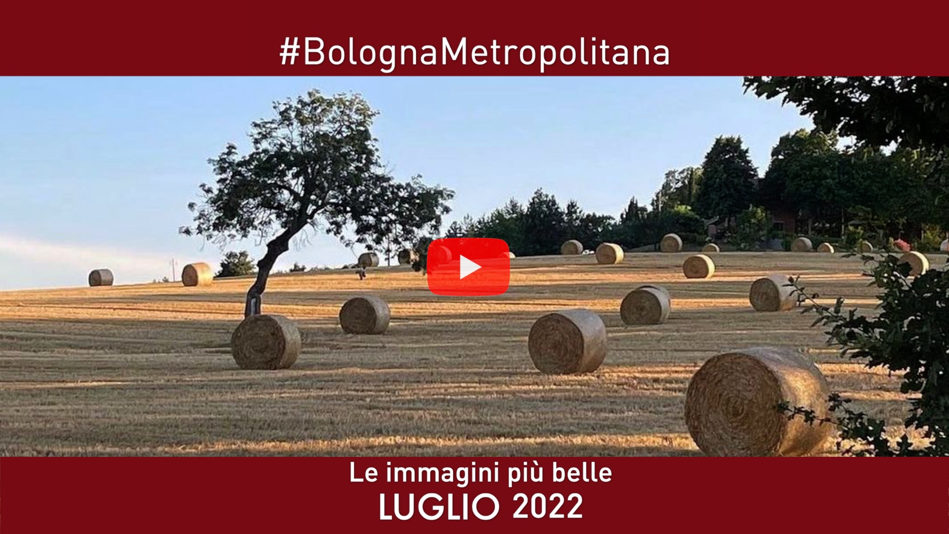 #BolognaMetropolitana - Le immagini più belle di Luglio 2022