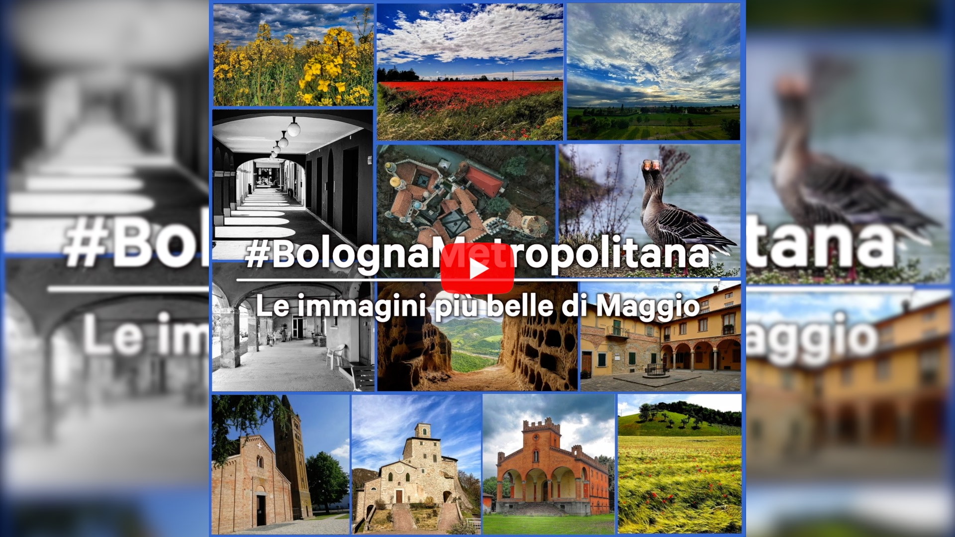 #BolognaMetropolitana - Le immagini più belle di maggio 2021