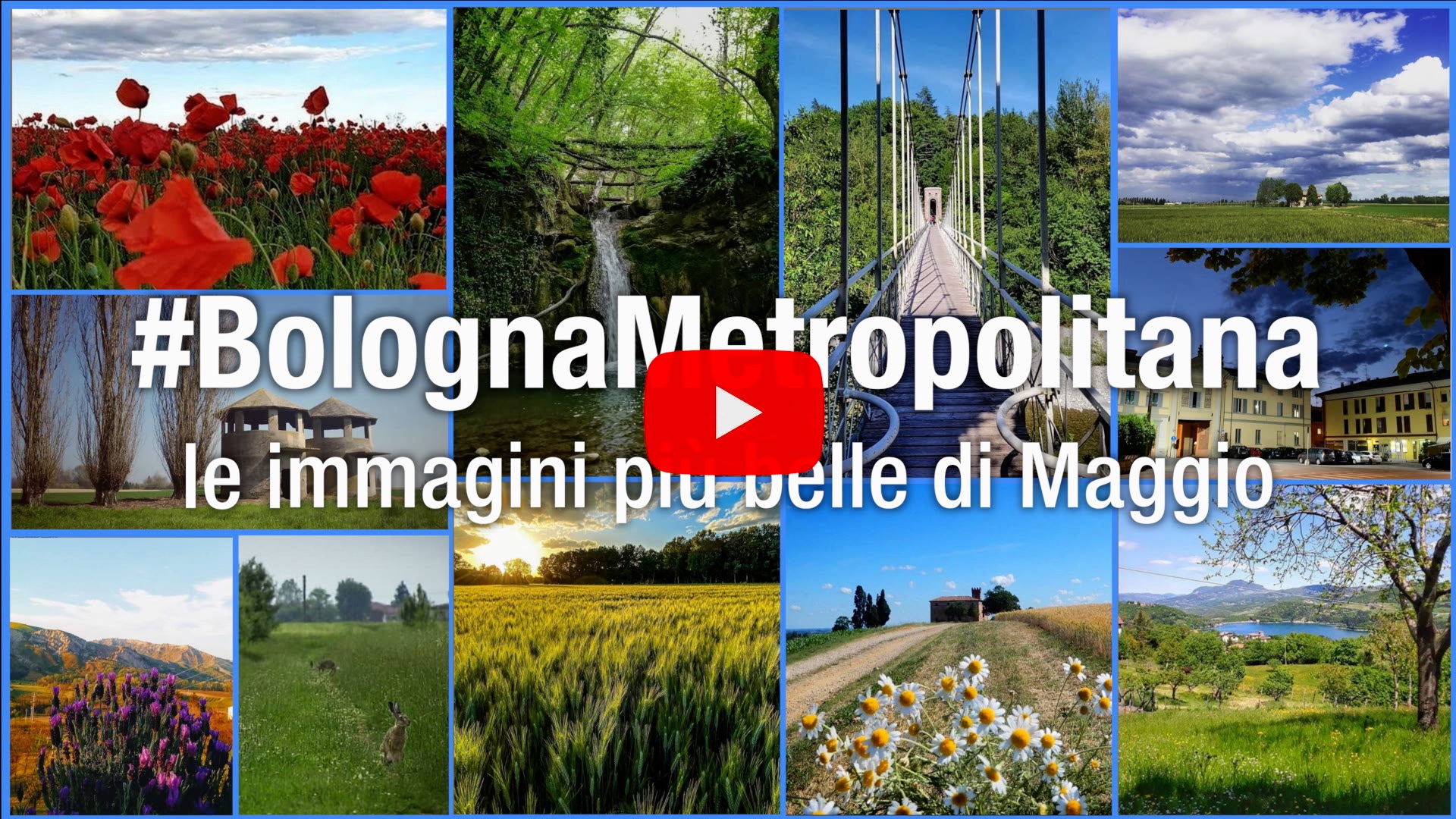 #BolognaMetropolitana - Le immagini più belle di maggio 2020