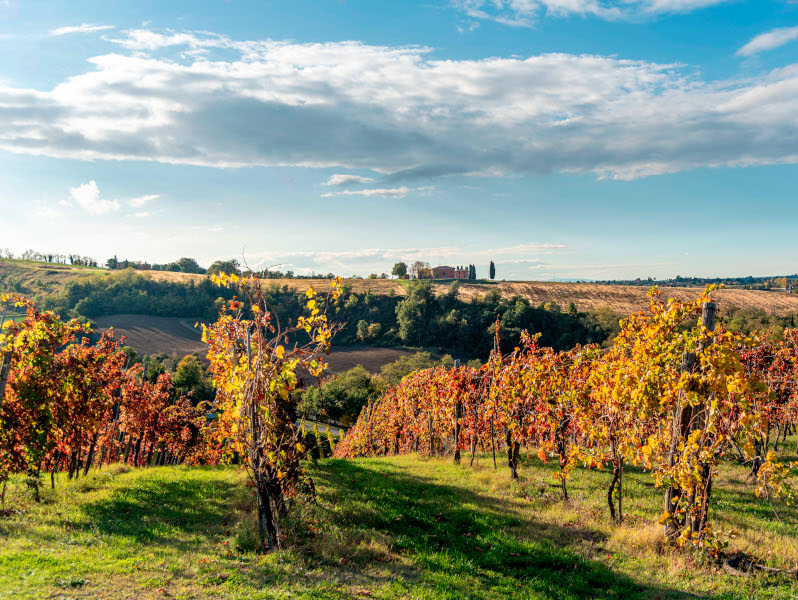 Torna "Autunno fuori dal Comune":  la campagna di turismo di prossimità per i residenti di Bologna e Modena