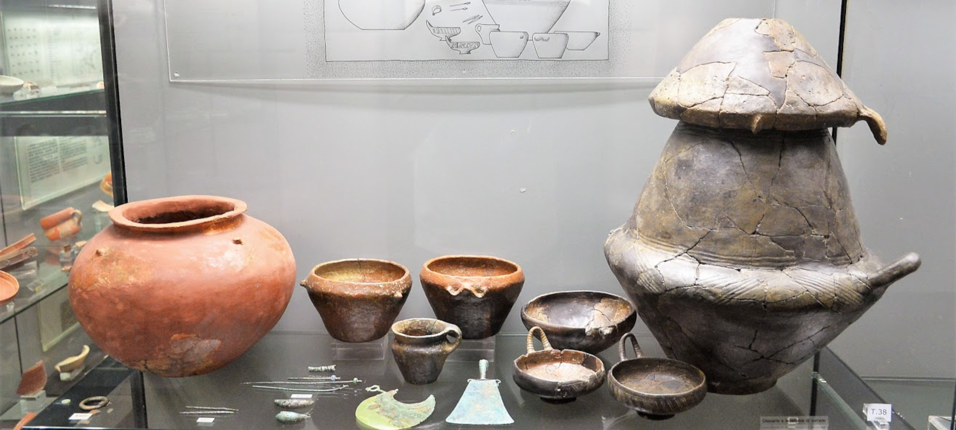 Budrio, Museo archeologico