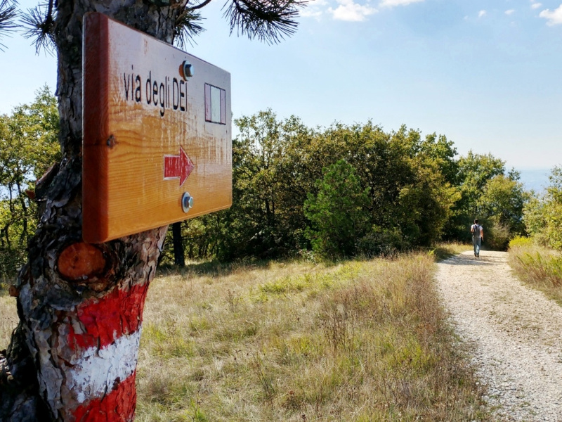 La Via degli Dei diventa "destinazione sostenibile"