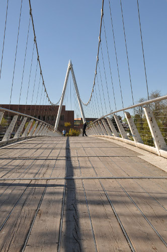 02/05/2011 - Il ponte di Casalecchio di Reno