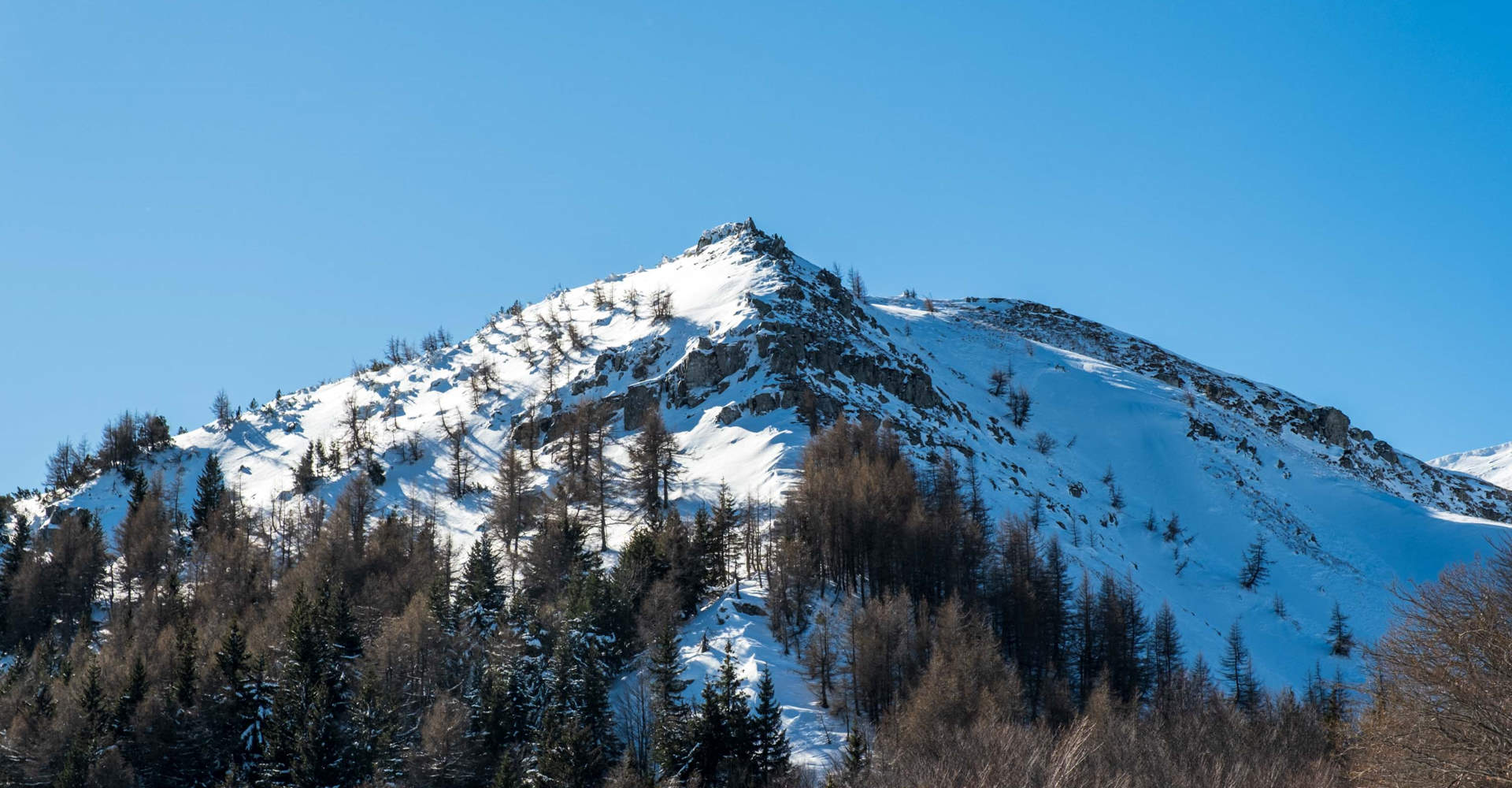 Esperienze e ciaspolate sull'Appennino modenese