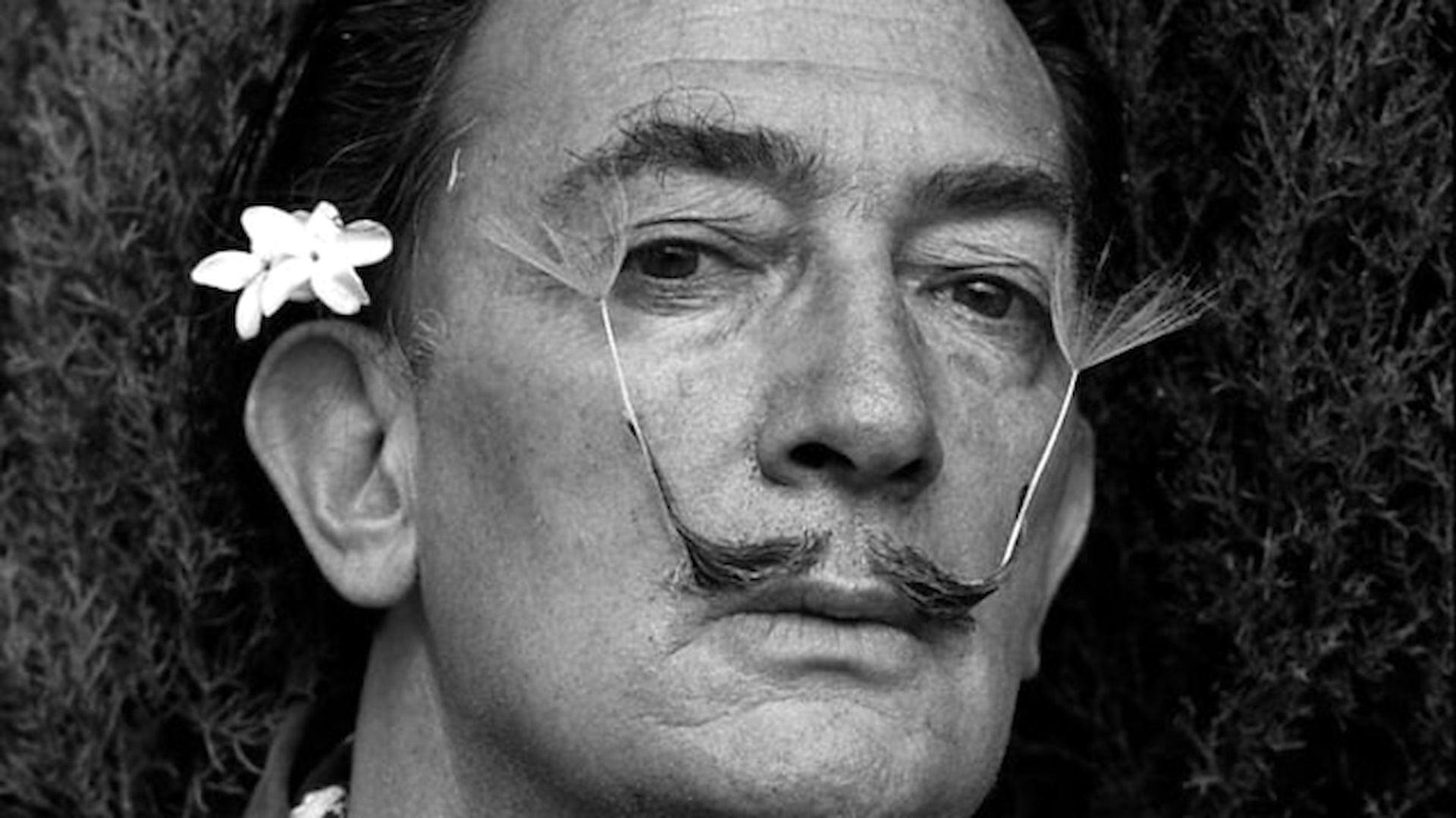 Nella Mente del Maestro - Salvador Dalí "Arte e Psiche" - Modena fino al 6 gennaio