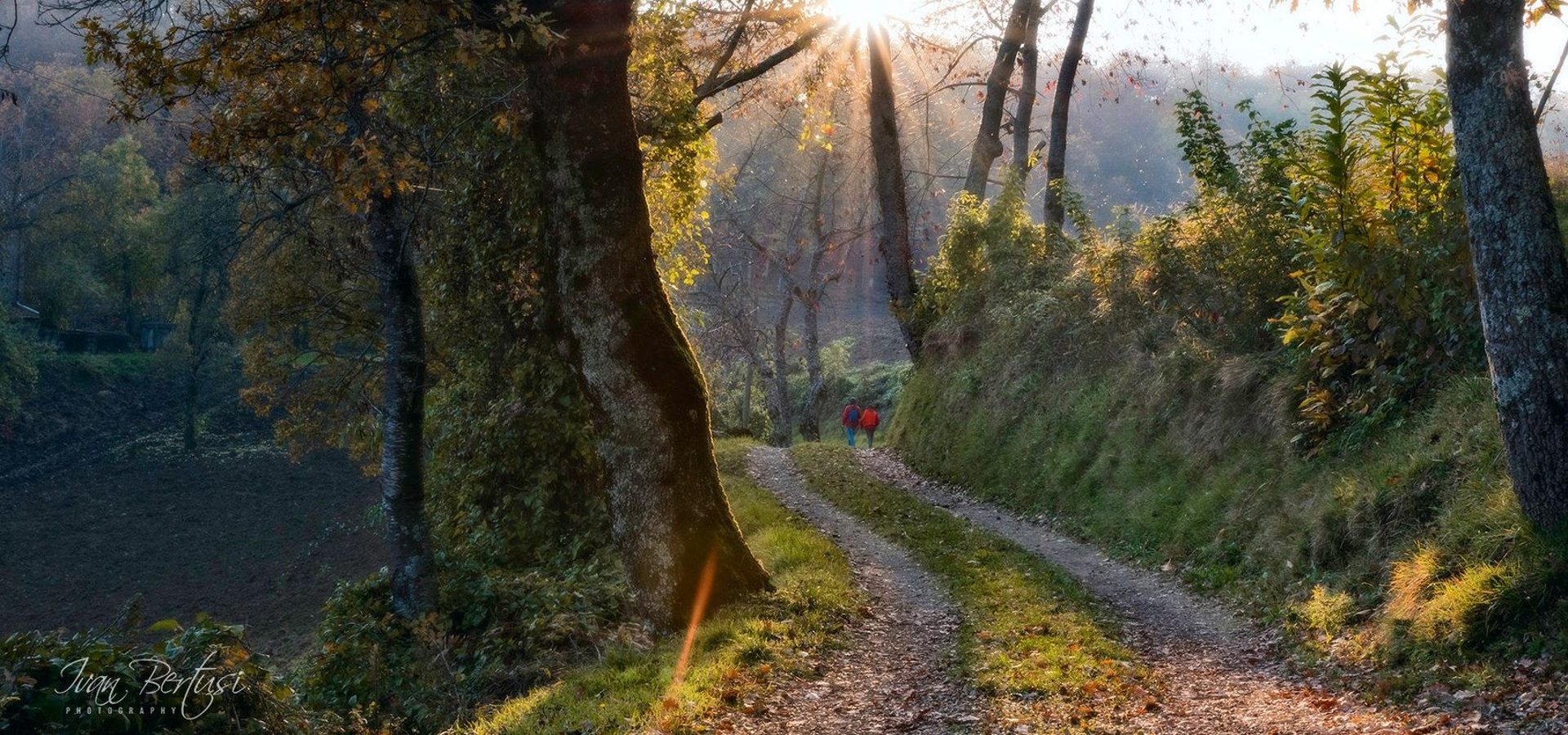 Primo Festival dei sentieri - Castel D'Aiano | 20 e 21 aprile 2024