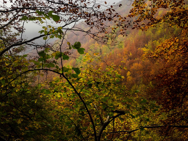 Foliage tour: trekking tra i colori dell'autunno